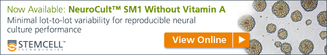 Now Available: NeuroCult™ SM1 Without Vitamin A